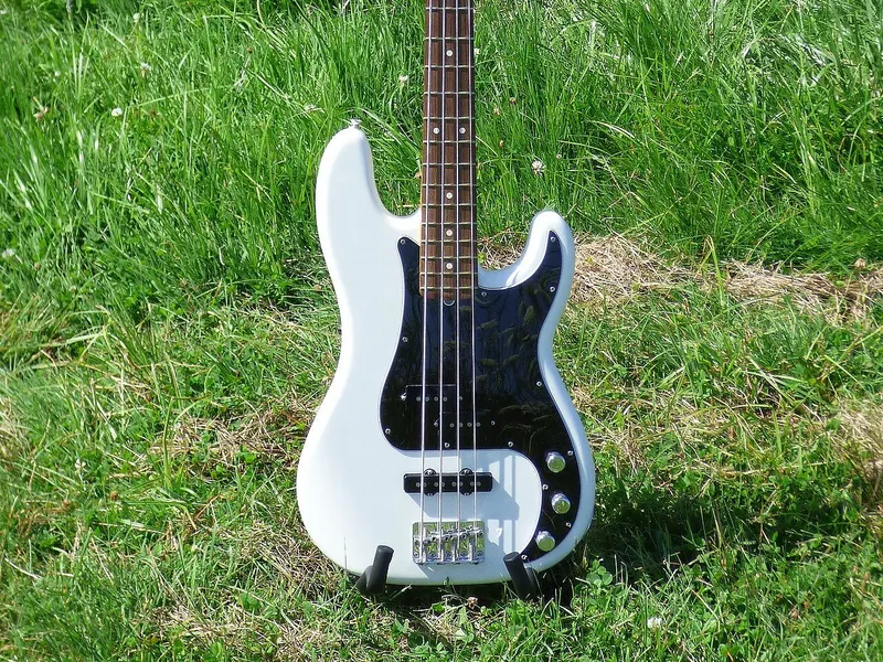 Fender American Professional Precision Bass